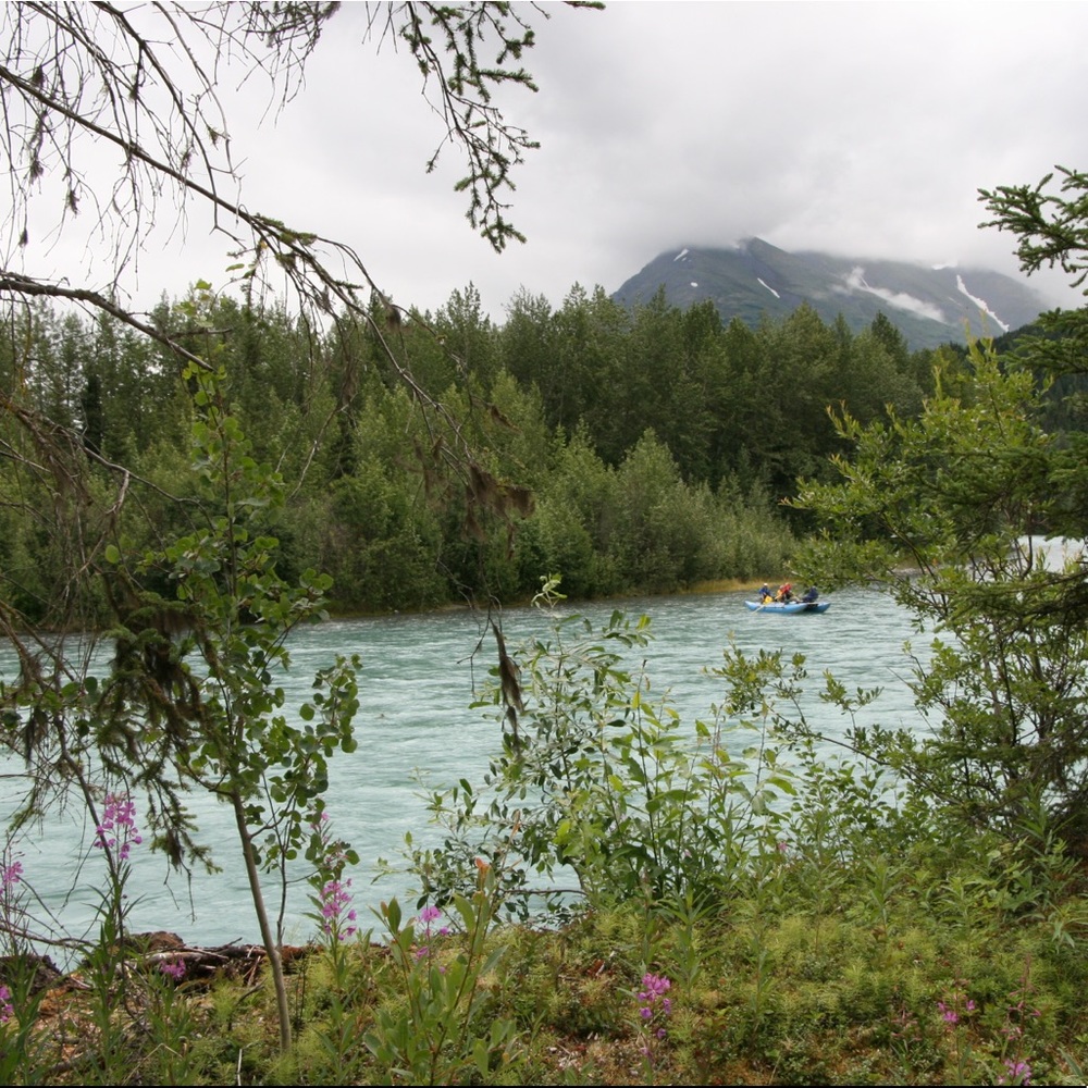 Meet your Posher, Claire